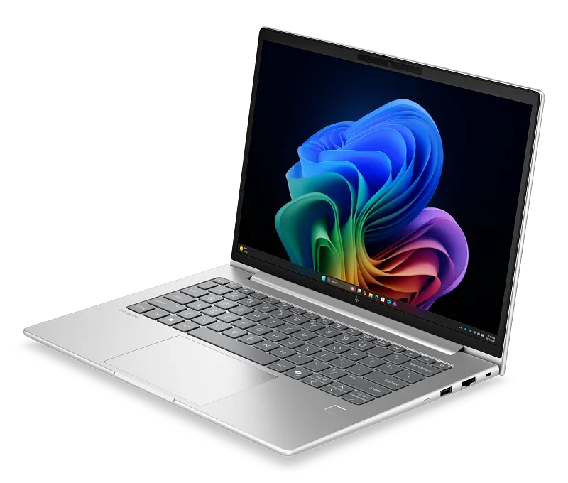 Vista 4